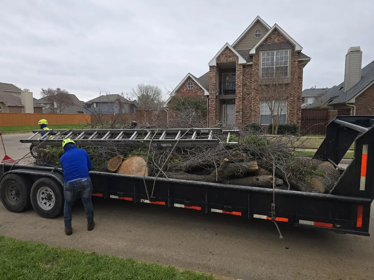 Expert Deadwooding with proper safety equipment in Crown Point